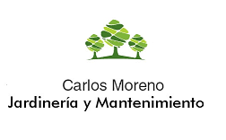 Carlos Moreno
