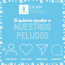 CICAM