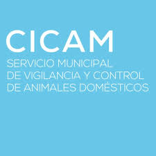 CICAM